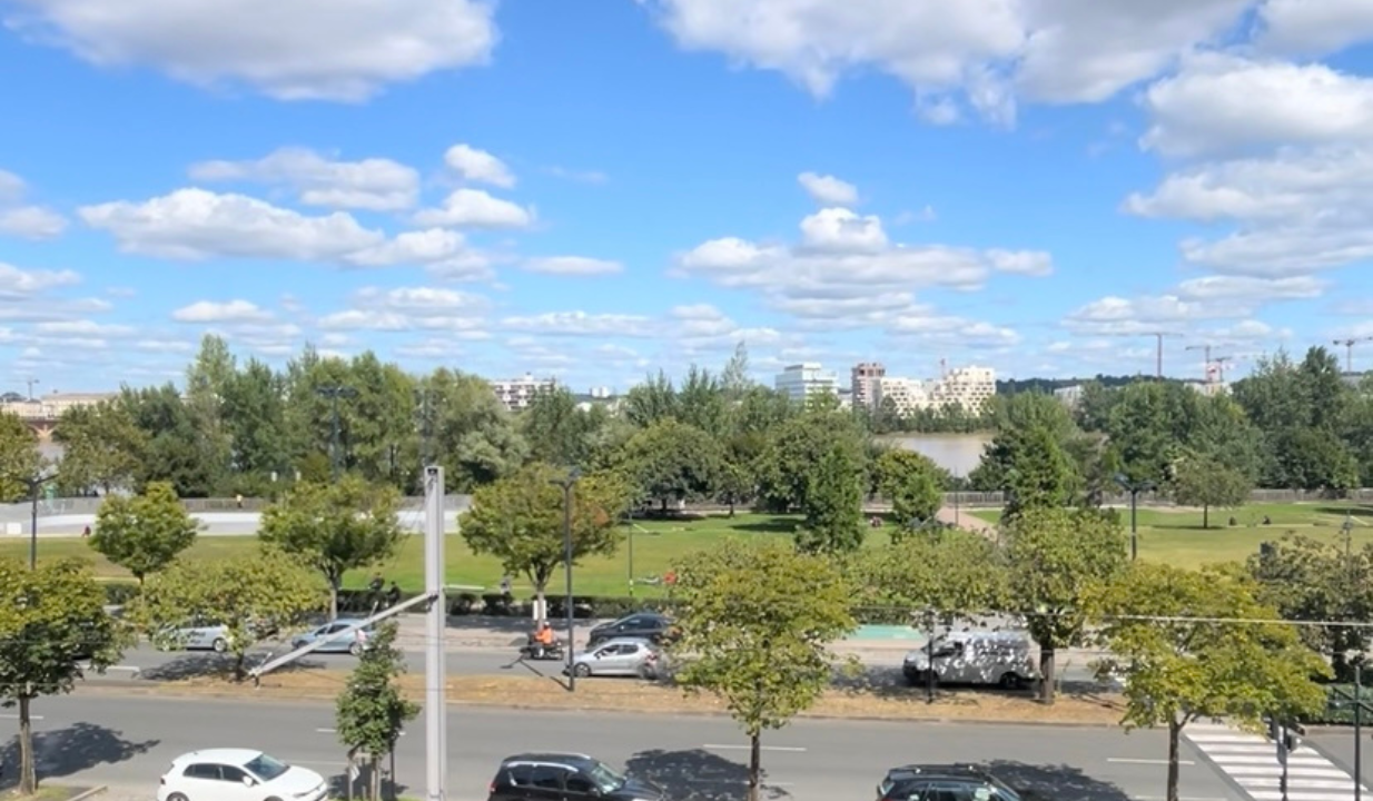 Miniature Vue